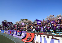 早稲田大のDF冨田が特別指定選手に承認【京都】