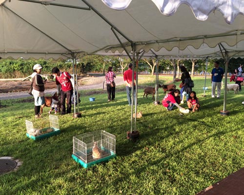 [ [ J1：第22節 鹿島 vs Ｆ東京 ] ] | J's GOAL | フォトニュース