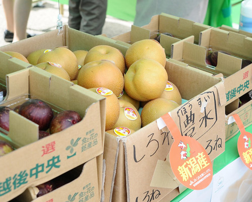 [ [ J1：第25節 新潟 vs 浦和 ] ] | J's GOAL | フォトニュース
