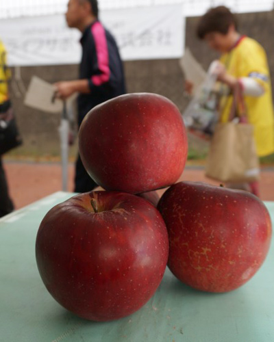 [ [ J2：第33節 北九州 vs 松本 ] ] | J's GOAL | フォトニュース