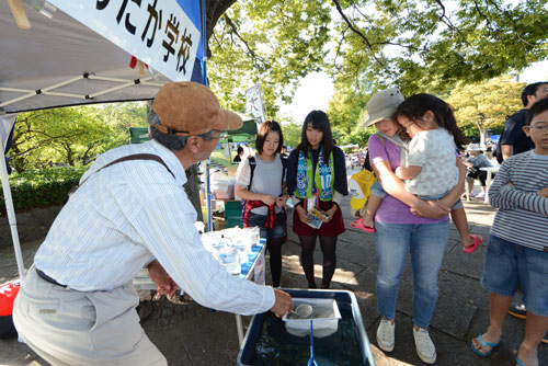 [ [ J2：第34節 湘南 vs 岐阜 ] ] | J's GOAL | フォトニュース