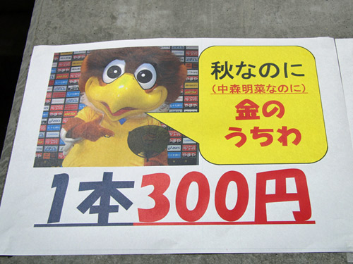 [ [ J1：第27節 仙台 vs Ｆ東京 ] ] | J's GOAL | フォトニュース