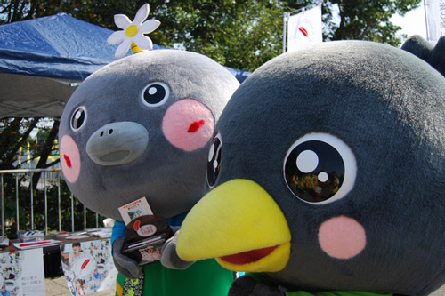 [ [ J2：第36節 栃木 vs 北九州 ] ] | J's GOAL | フォトニュース