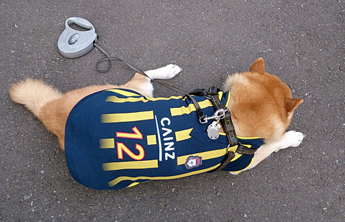 [ [ J2：第38節 群馬 vs 千葉 ] ] | J's GOAL | フォトニュース