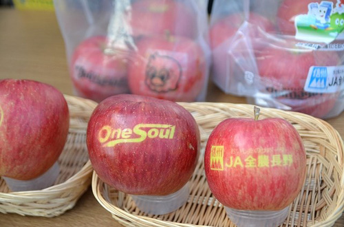 [ [ J2：第38節 松本 vs 富山 ] ] | J's GOAL | フォトニュース