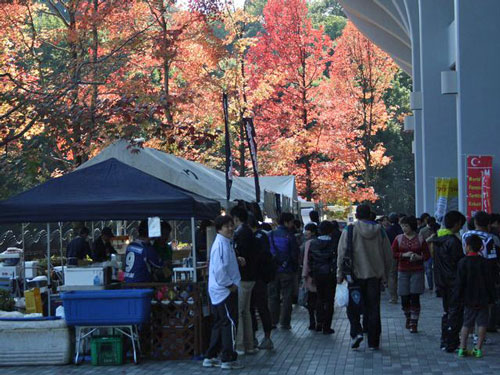 [ [ J2：第41節 福岡 vs 札幌 ] ] | J's GOAL | フォトニュース