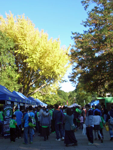 [ [ J2：第41節 湘南 vs 横浜FC ] ] | J's GOAL | フォトニュース