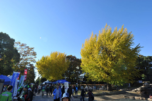 [ [ J2：第41節 湘南 vs 横浜FC ] ] | J's GOAL | フォトニュース