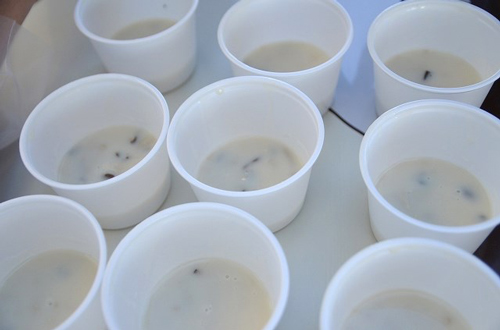 [ [ J2：第42節 松本 vs 水戸 ] ] | J's GOAL | フォトニュース