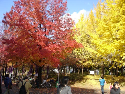 [ [ J2：第42節 京都 vs 岐阜 ] ] | J's GOAL | フォトニュース