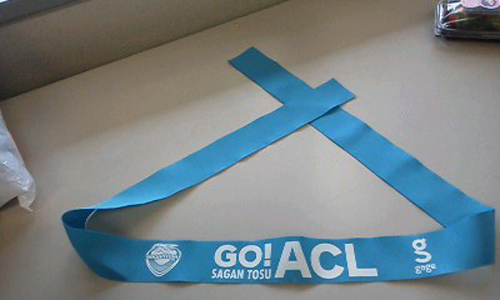 [ [ J1：第33節 鳥栖 vs 浦和 ] ] | J's GOAL | フォトニュース