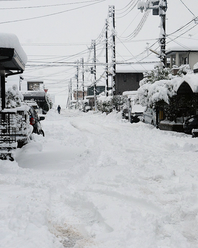 [ [ J1：第34節 新潟 vs 柏 ] ] | J's GOAL | フォトニュース
