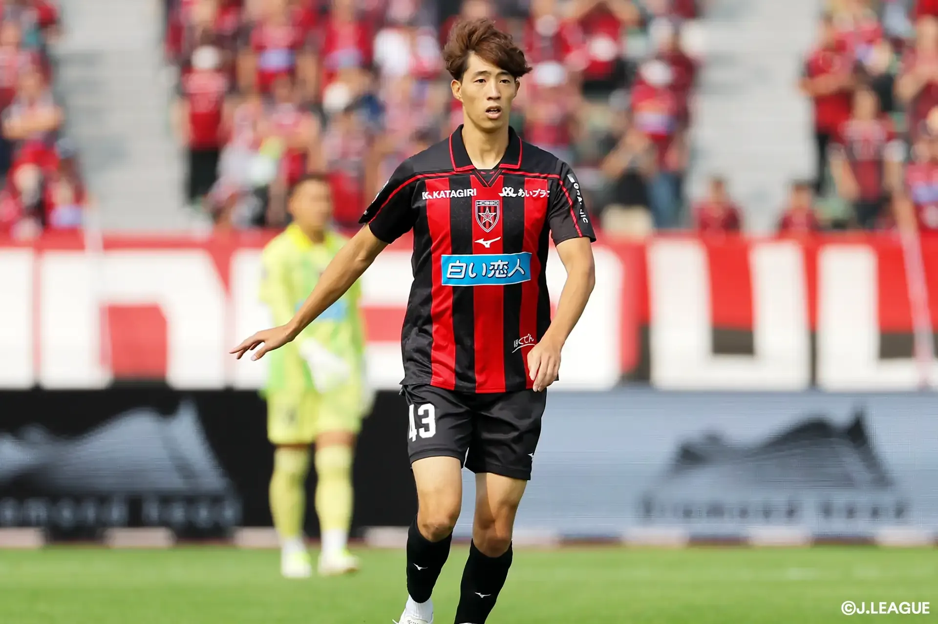 DF野瀬の負傷を発表【札幌】