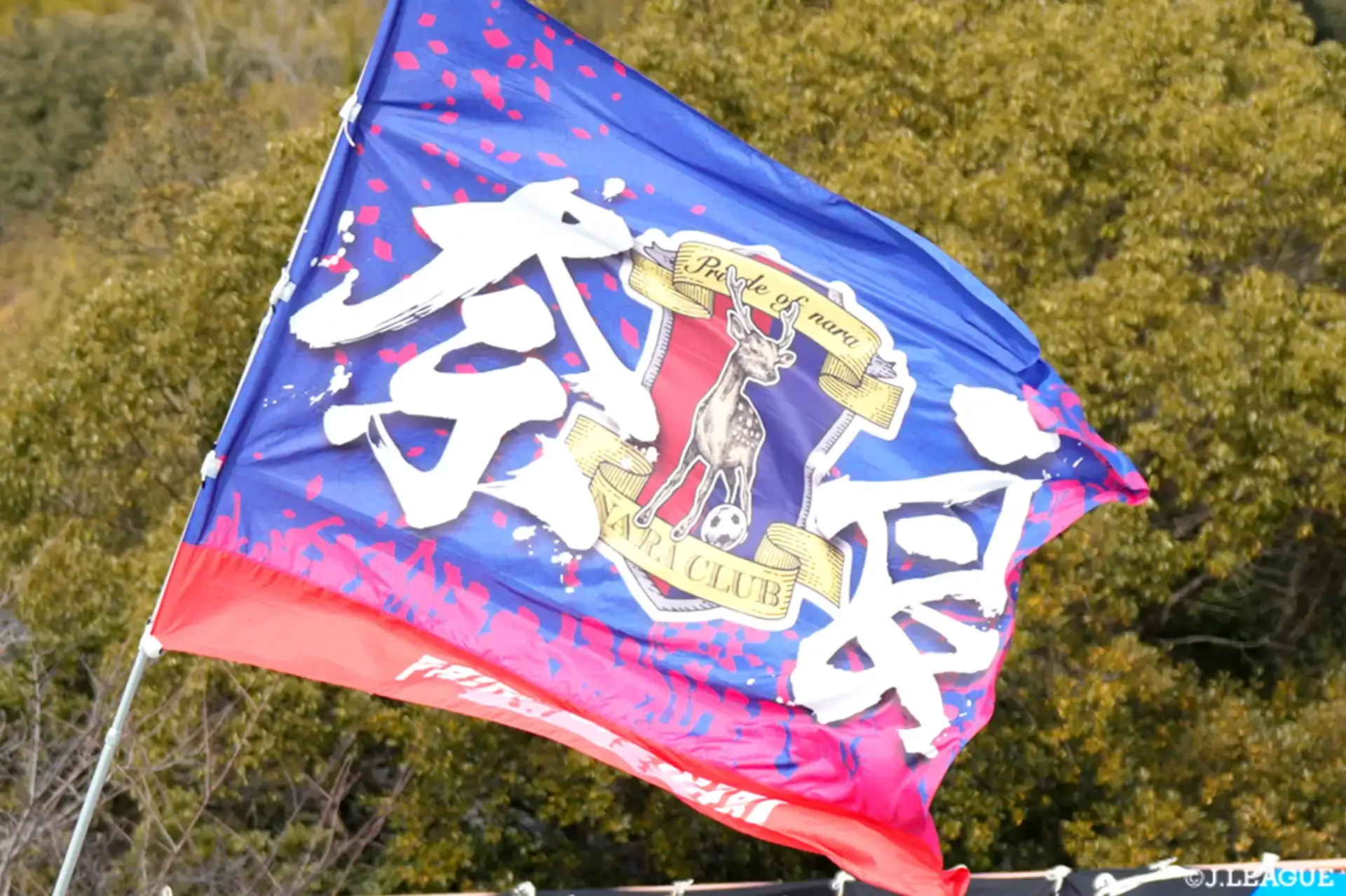 桃山学院大DF井上の2027年加入が内定【奈良】