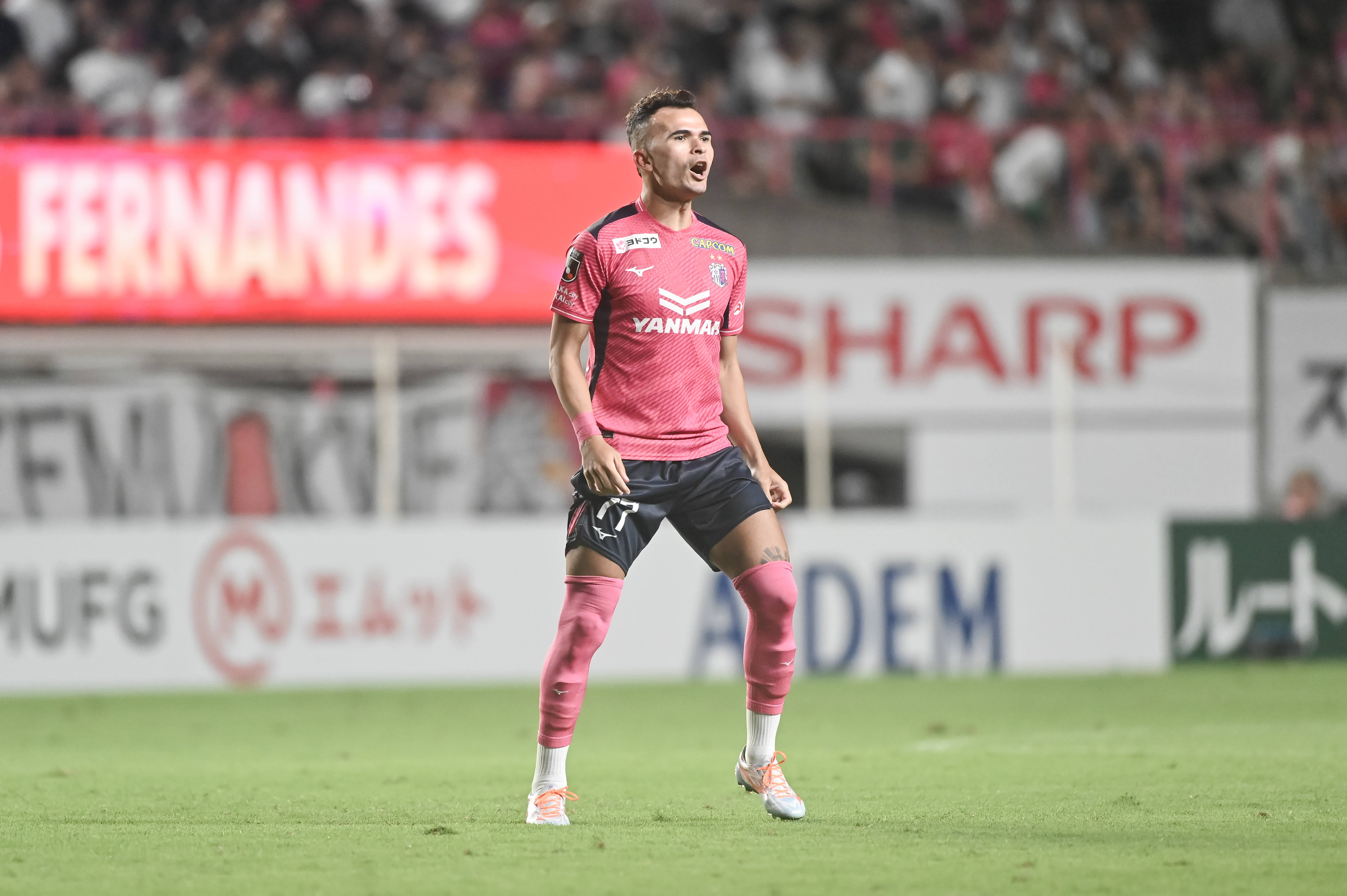 Ｃ大阪vs柏_フェルナンデス