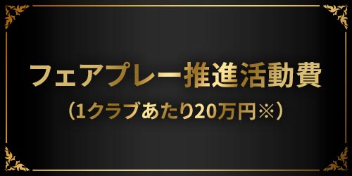 フェアプレー推進活動費（1クラブあたり20万円※）