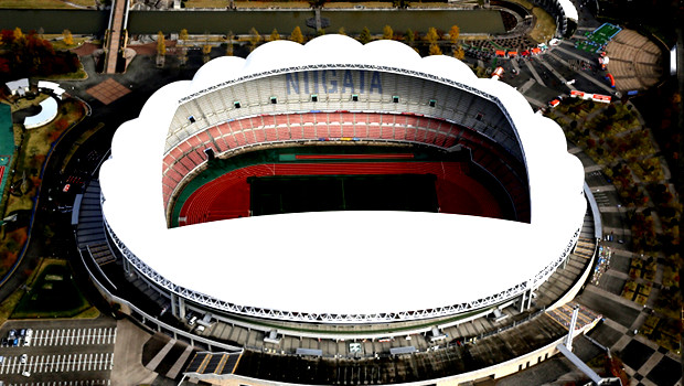Image result for Denka Big Swan Stadium logo