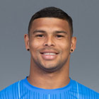 アレフ　ピットブル