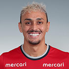 ディエゴ　ピトゥカ