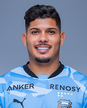 エリソン - ERISON