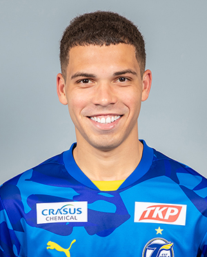 パトリッキ　ヴェロン - PATRICK VERHON