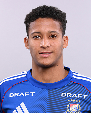 テヴィス - TEVIS