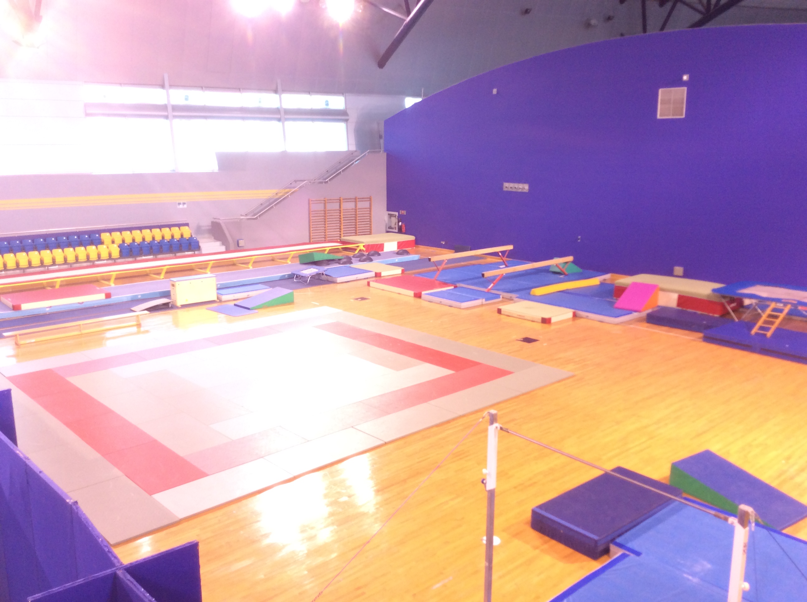 鉄棒や床運動など様々な体操競技施設も併設されている