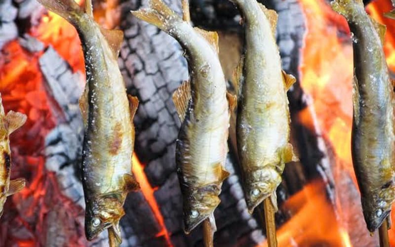 天然鮎の塩焼き
