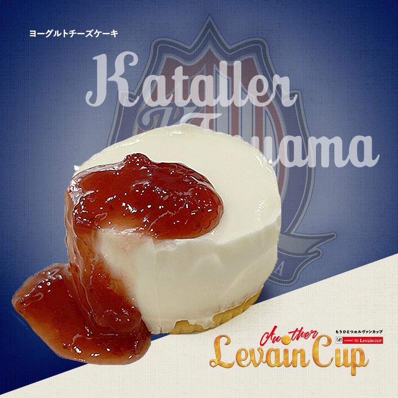 ヨーグルトチーズケーキ