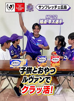 サンフレッチェ広島