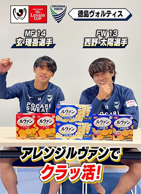 徳島ヴォルティス