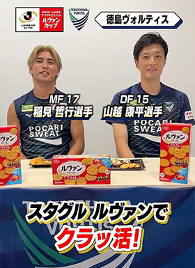 徳島ヴォルティス