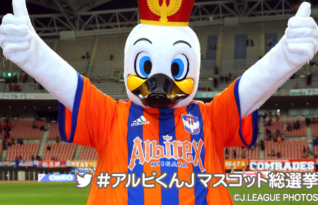 アルビくん プロフィール アルビレックス新潟 ｊリーグマスコット総選挙 16 サッカー ｊリーグ Jp