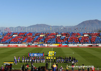 【甲府】VF甲府×スーパーやまと「ヴァンフォーレ甲府 応援どんぶり」を発売