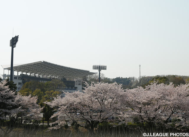 【町田】29日の秋田戦にて「全国の『桜』（さくら）さん無料招待企画」を実施