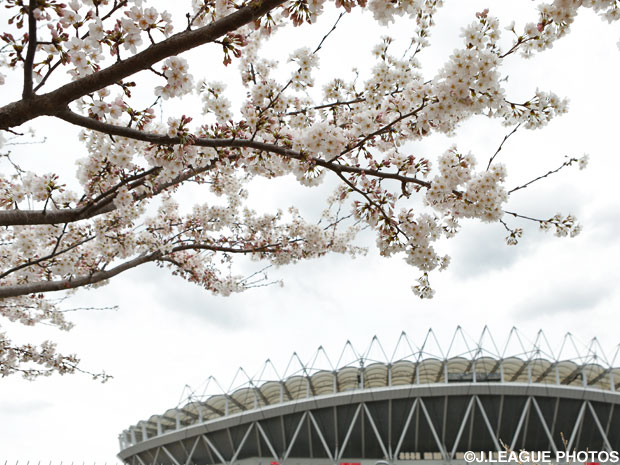 【鹿島】4日から「カシマスタジアム さくらまつり2015」を開催