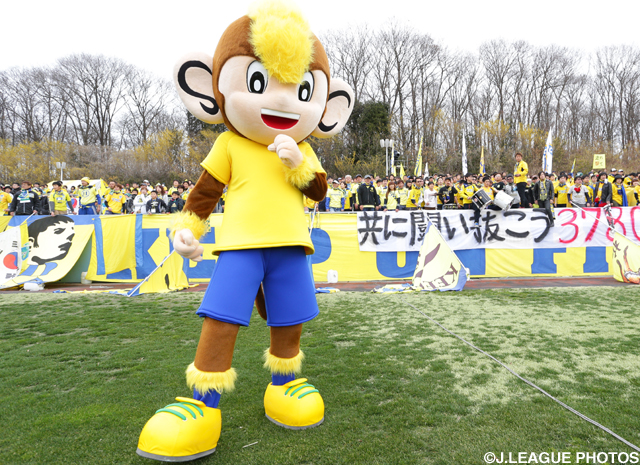 【栃木】トッキーが「２０回きつれ川商工会桜まつり」に参加