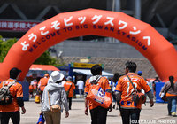 【新潟】6月7日の名古屋戦の「おみやげ付チケット」を販売