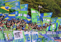 【湘南】「チラシ配り協力サポーター」参加者募集