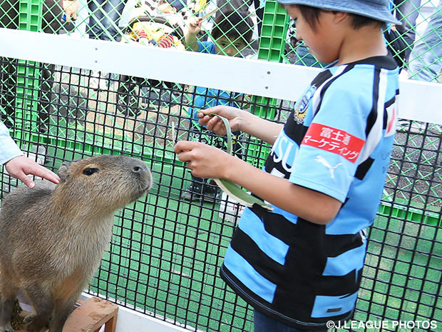 【川崎Ｆ】10月4日のＧ大阪戦で「那須どうぶつ王国ランド2015」を開催