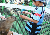 【川崎Ｆ】10月4日のＧ大阪戦で「那須どうぶつ王国ランド2015」を開催