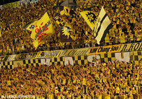 【柏】オフィシャルファンクラブ「アソシエイツ」2016年度新規会員募集