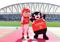 くまモンとロアッソ君が5/22熊本vs水戸のPRのため緊急テレビ出演！【番組告知】