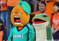 6/4 愛媛戦 「伊予柑太」と、カエルの「一平くん」が来場！【群馬】
