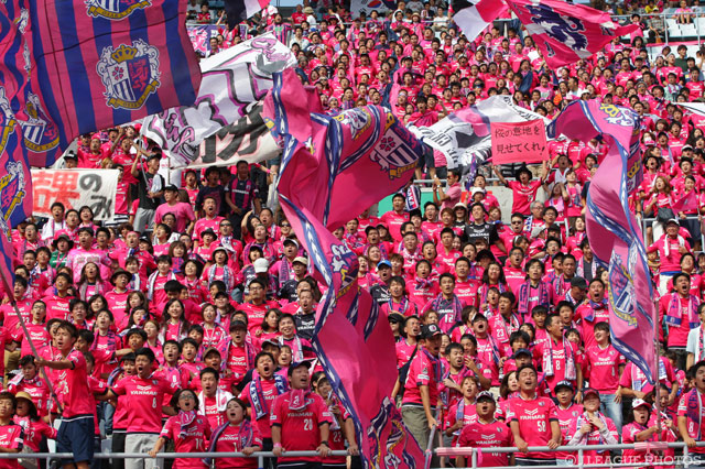 桐光学園高からGK茂木の加入が内定【Ｃ大阪】