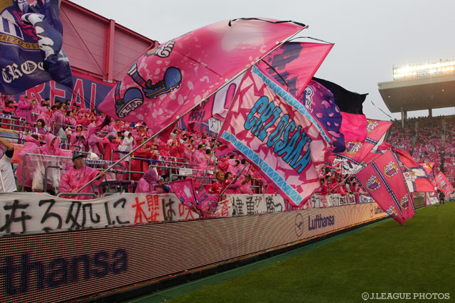 DFマテイ ヨニッチが加入【Ｃ大阪】