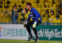 柏よりGK稲田が完全移籍で加入【新潟】