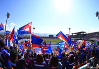 メルボルン・ビクトリーFCよりMFボザニッチが加入【甲府】