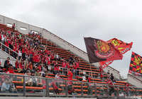 仙台大のDF川上が特別指定選手に承認【福島】