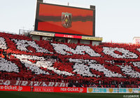 明治大よりDF岩武の来季加入が内定【浦和】